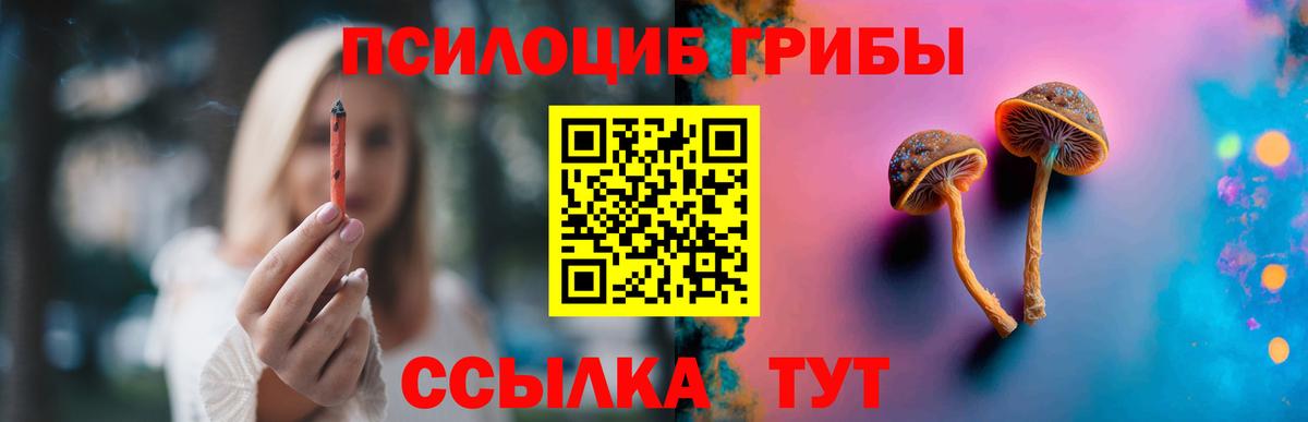 Псилоцибиновые грибы прущие грибы Мичуринск
